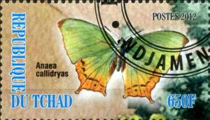 Stamp, Anaea callidryas, Cinderellas,  , Butterflies