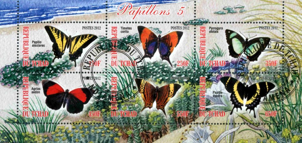 Papillons 5