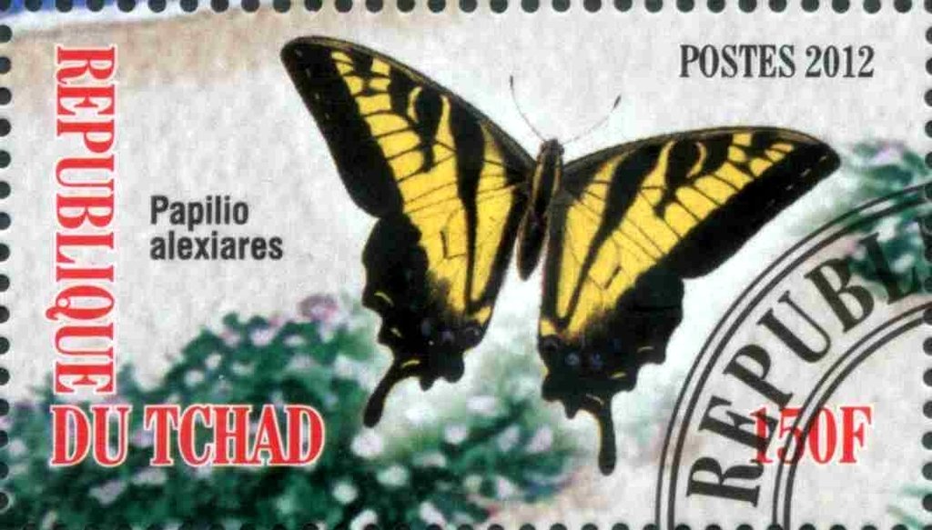 Papilio alexiares
