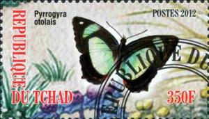 Stamp, Pyrrogyra otolais, Cinderellas,  , Butterflies