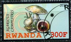 Stamp, Agaricus campestiris, Cinderellas,  , Mushrooms
