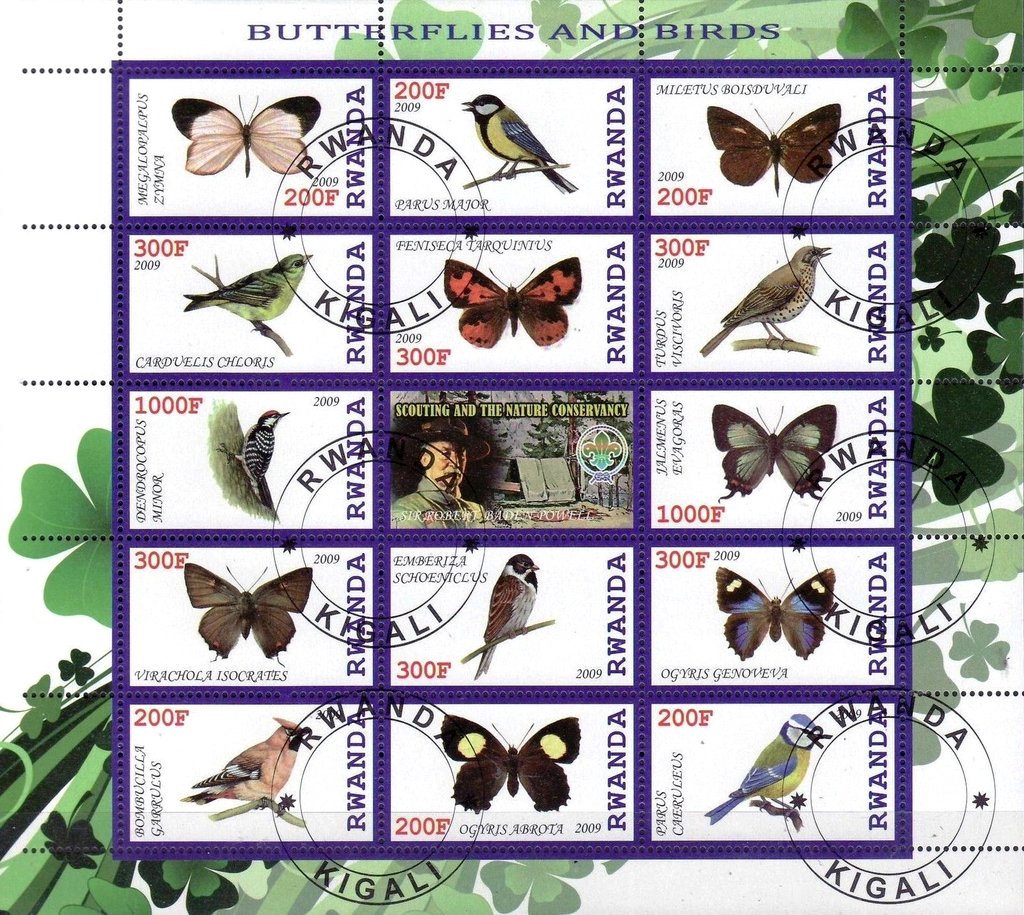 Butterflies and birds