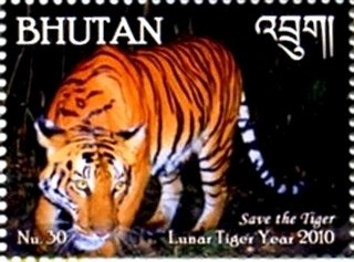 Year of the Tiger