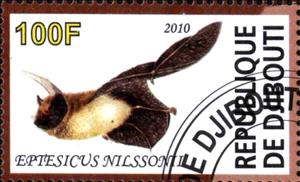 Stamp, Eptesicus Nilssonii, Cinderellas,  , Animals (Fauna), Bats