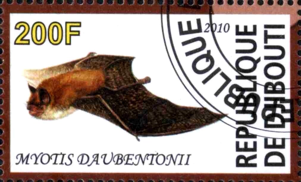 Myotis Daubentonii