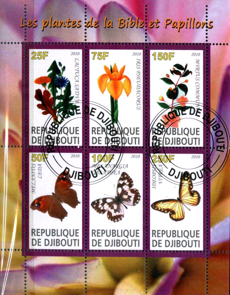 Les plantes dela Bible et Papillons