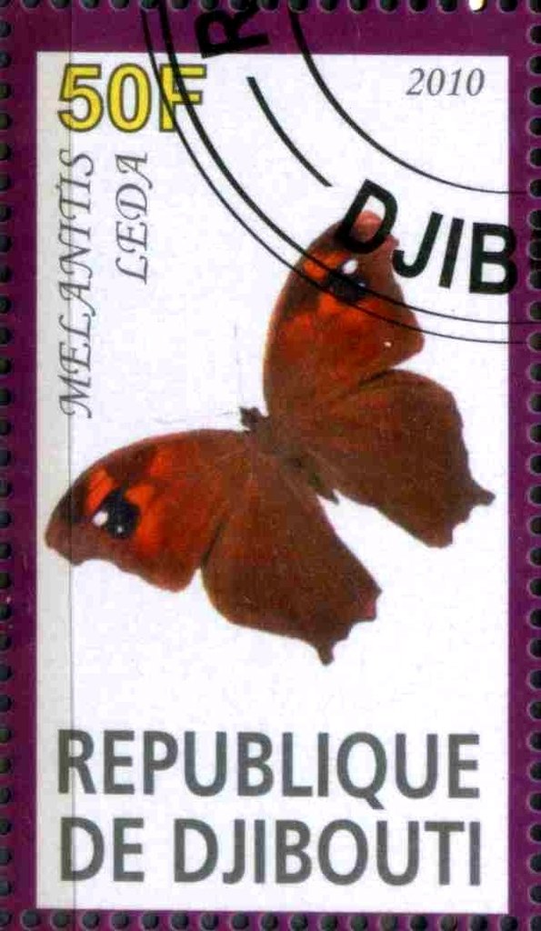 Melanitis Leda