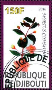 Stamp, Myrtus Communis, Cinderellas,  , Flowers