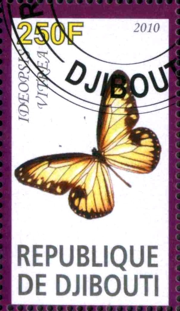 Ideopsis Vitrea
