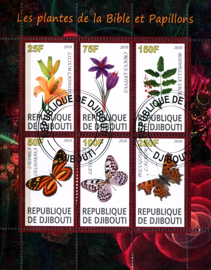 Les plantes dela Bible et Papillons