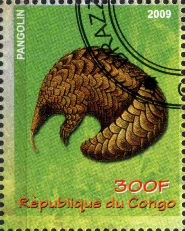Pangolin