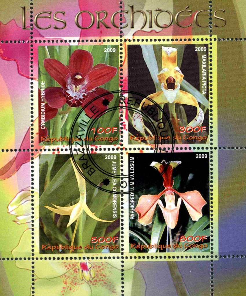 Les Orchidees