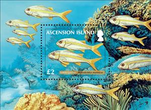Souvenir Sheet, Yellow Goatfish (Mulloidichthys martinicus), Ascension Island,  , Animals (Fauna), Fishes, Sea Life
