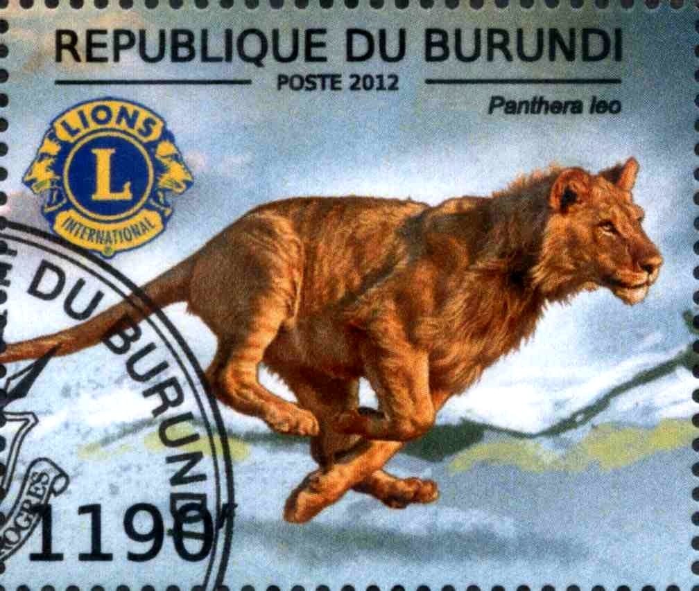 Panthera Leo