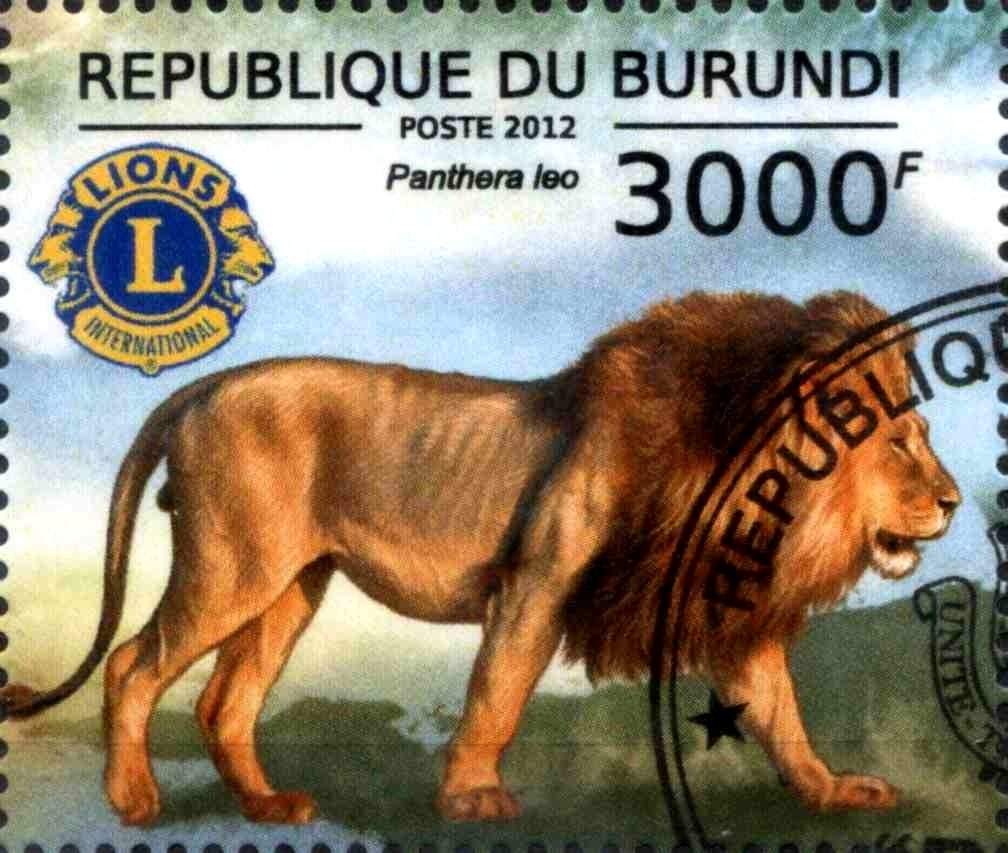 Panthera Leo