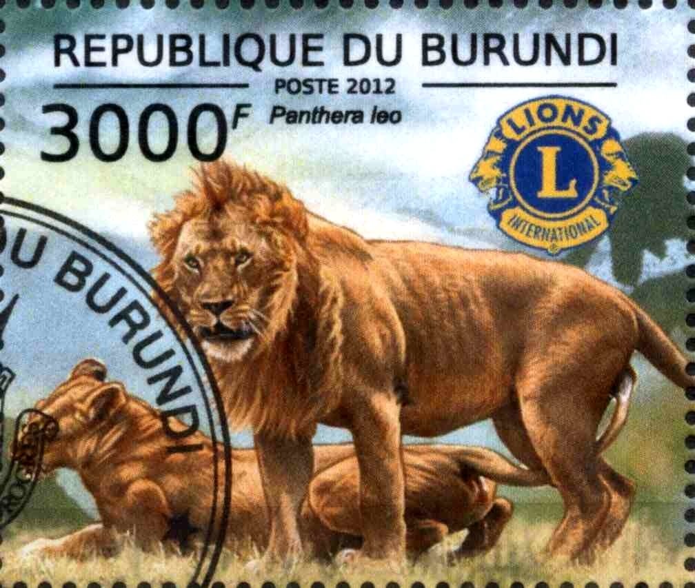 Panthera Leo