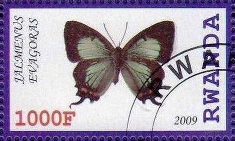 Jalmenus evagoras