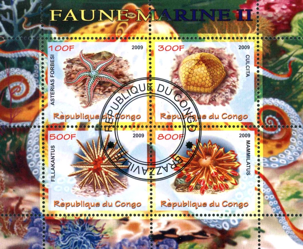 Faune Marine II