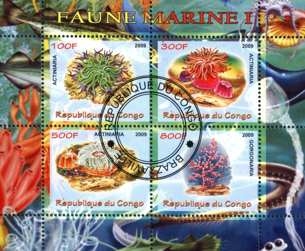 Faune Marine I
