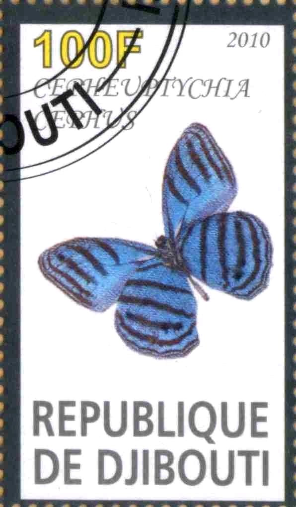 Cepheuptychia Cephus