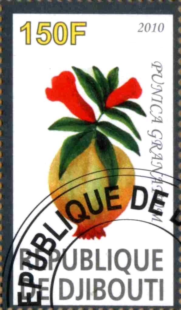 Punica Granatum
