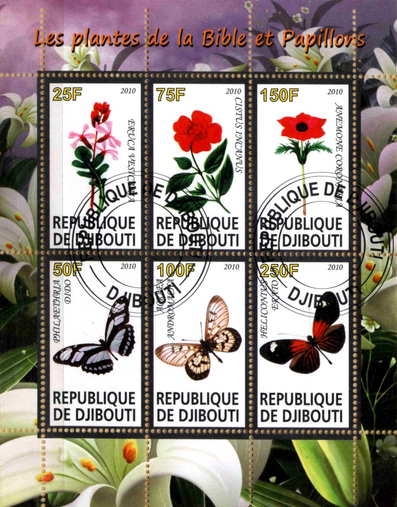Les plantes dela Bible et Papillons