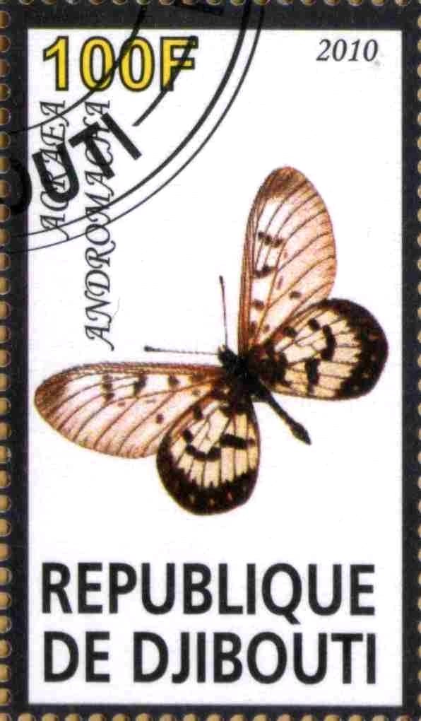 Acraea Andromacha