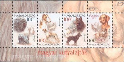 Dogs - MiNo. 4828-31