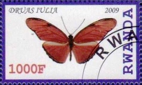Druas iulia
