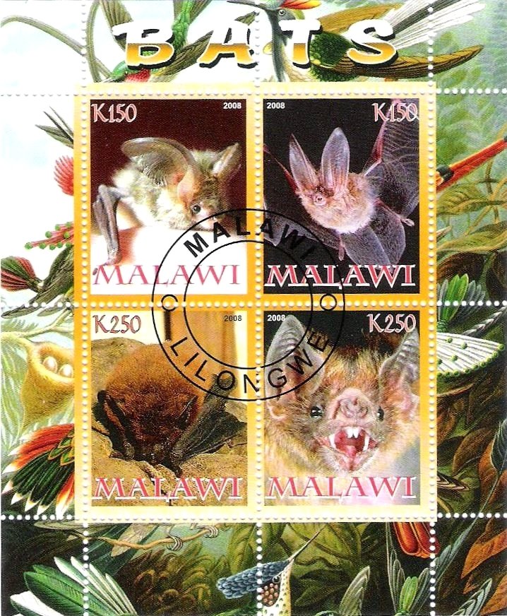 Bats