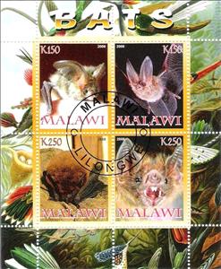 Souvenir Sheet, Bats, Cinderellas,  , Bats