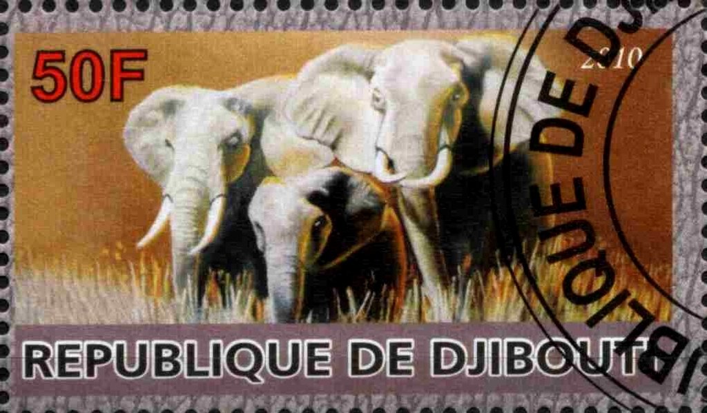 Elephant