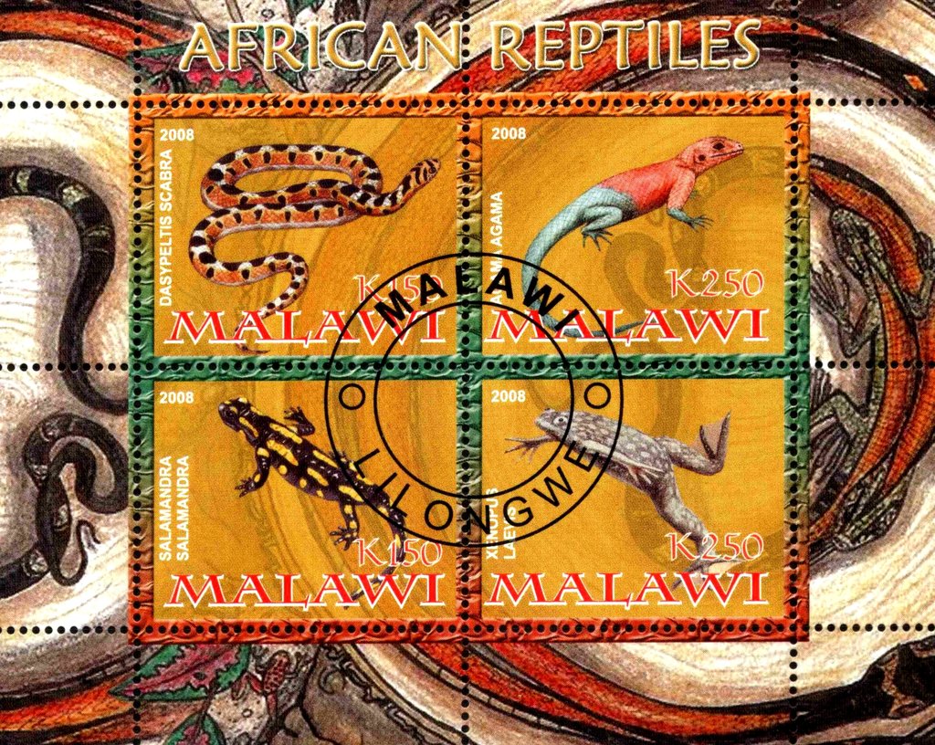 African Reptiles