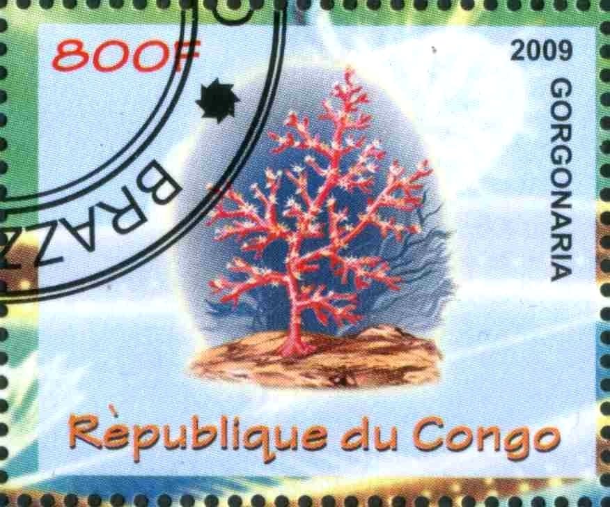 Gorgonaria