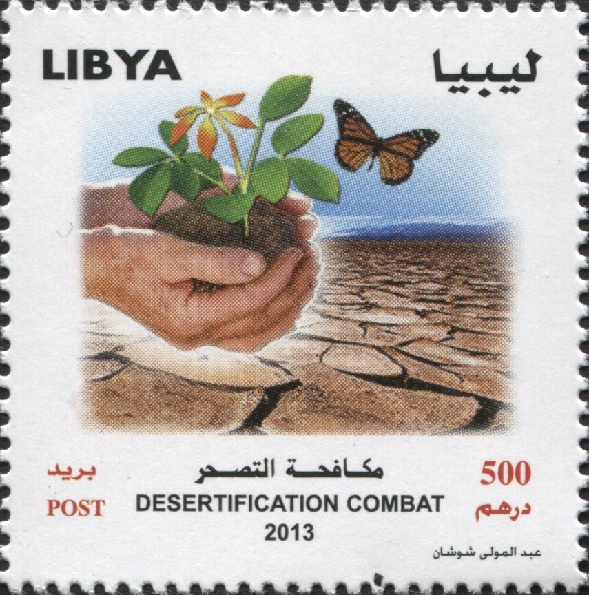 Combatting Desertification