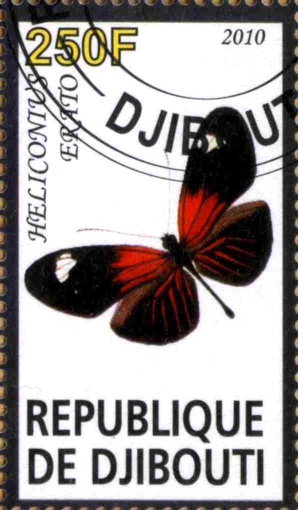 Heliconius Erato