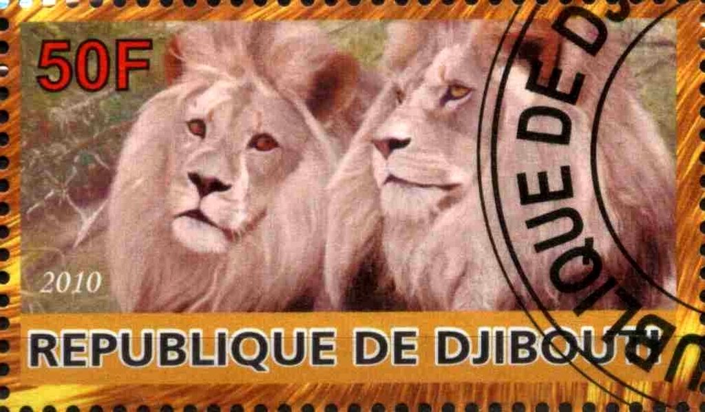 Panthera Leo