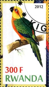 Stamp, Parrots, Cinderellas,  , Birds, Parrots