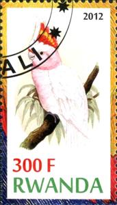Stamp, Parrots, Cinderellas,  , Birds, Parrots