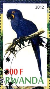 Stamp, Hyacinth Macaw (Anodorhynchus hyacinthinus), Cinderellas,  , Birds, Parrots