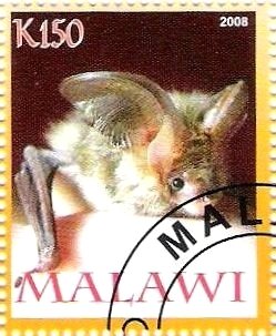 Stamp, Bat, Cinderellas,  , Bats