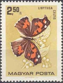 Stamp, Nettle-tree Butterfly (Libythea celtis), Hungary,  , Insects, Butterflies, Animals (Fauna)