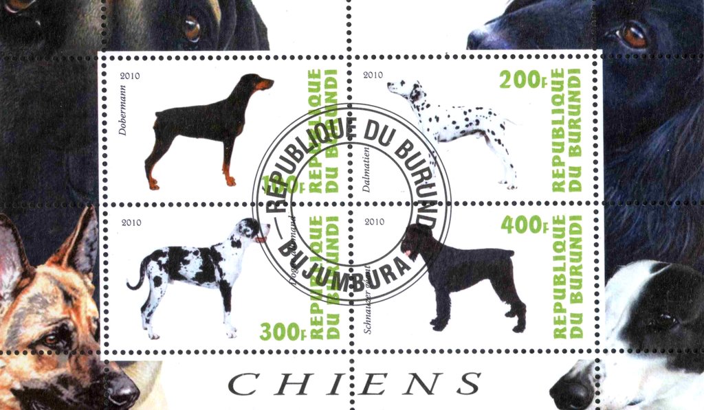 Dogs