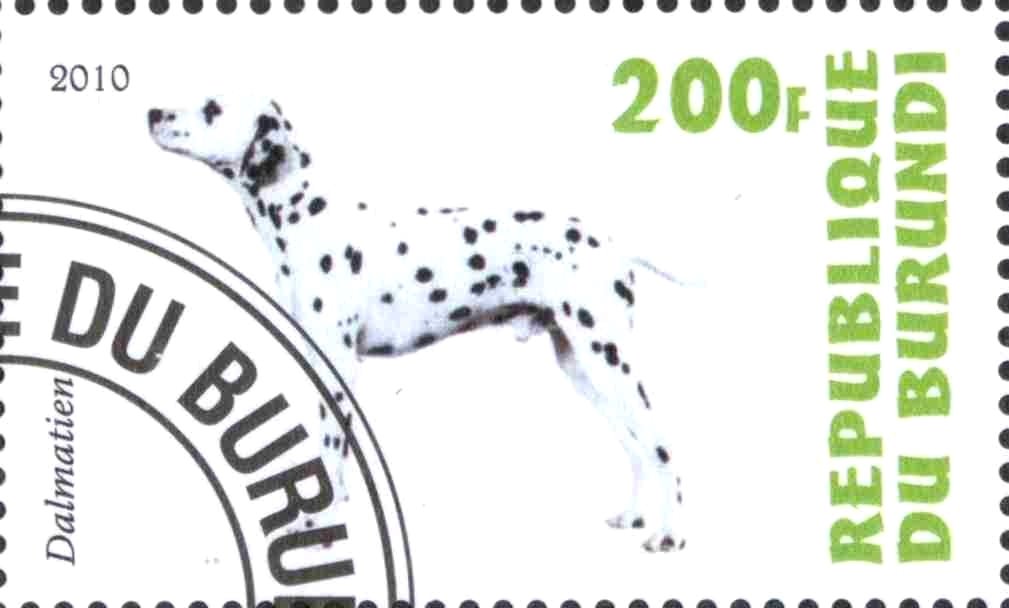 Dalmatien
