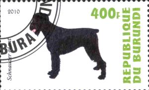 Stamp, Schnauzer geant, Cinderellas,  , Dogs