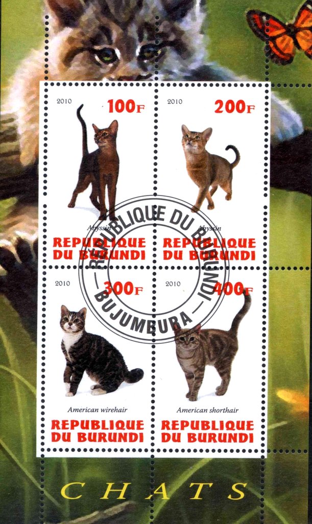 Chats