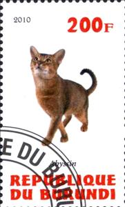 Stamp, Abyssin, Cinderellas,  , Cats