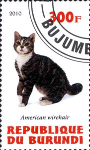 Stamp, American wirehair, Cinderellas,  , Cats