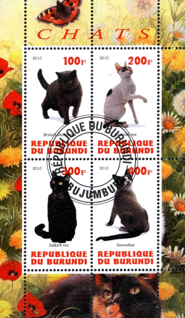 Chats
