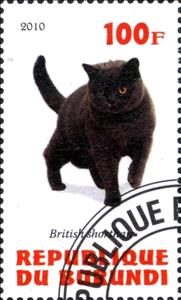 Stamp, British shorthair, Cinderellas,  , Cats